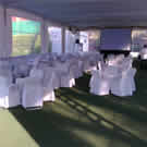 Plants: image 1 0f 4 thumb