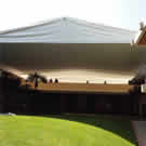 Plants: image 1 0f 4 thumb