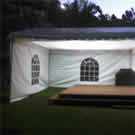 Plants: image 1 0f 4 thumb