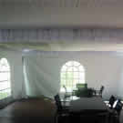 Plants: image 1 0f 4 thumb