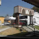 Plants: image 1 0f 4 thumb