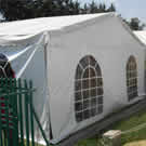 Plants: image 1 0f 4 thumb