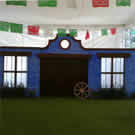 Plants: image 1 0f 4 thumb