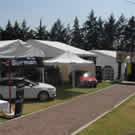 Plants: image 1 0f 4 thumb