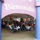 Plants: image 1 0f 4 thumb