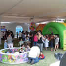 Plants: image 1 0f 4 thumb