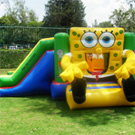 Plants: image 1 0f 4 thumb