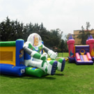 Plants: image 1 0f 4 thumb