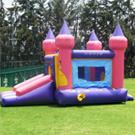 Plants: image 1 0f 4 thumb