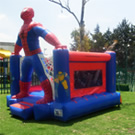 Plants: image 1 0f 4 thumb