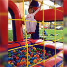 Plants: image 1 0f 4 thumb