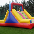 Plants: image 1 0f 4 thumb