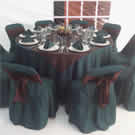 Plants: image 1 0f 4 thumb