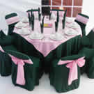 Plants: image 1 0f 4 thumb