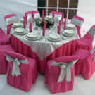 Plants: image 1 0f 4 thumb