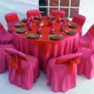 Plants: image 1 0f 4 thumb