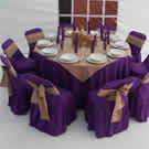 Plants: image 1 0f 4 thumb