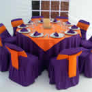 Plants: image 1 0f 4 thumb