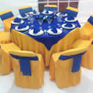 Plants: image 1 0f 4 thumb