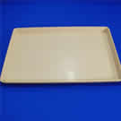 Plants: image 1 0f 4 thumb